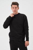 Albert Erkek Sweatshirt Siyah